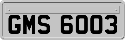 GMS6003