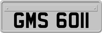 GMS6011