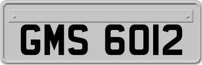 GMS6012