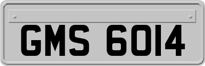 GMS6014