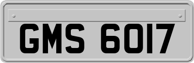 GMS6017
