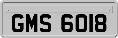 GMS6018