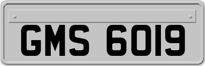 GMS6019