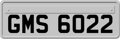 GMS6022