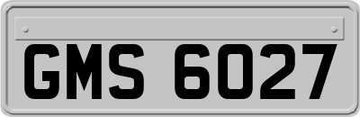 GMS6027