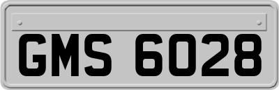 GMS6028
