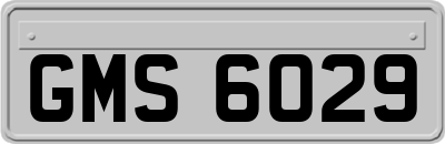 GMS6029