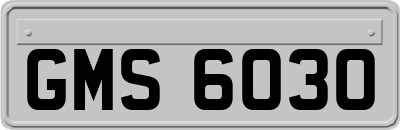 GMS6030