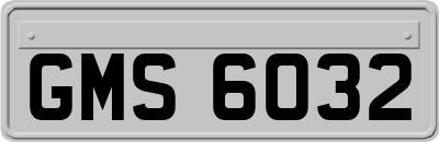 GMS6032