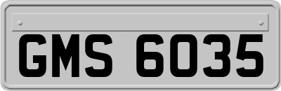 GMS6035