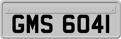 GMS6041