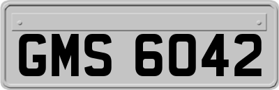 GMS6042