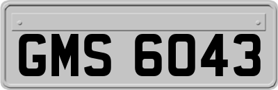 GMS6043