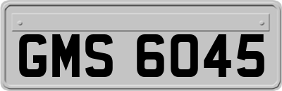 GMS6045