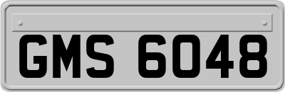 GMS6048