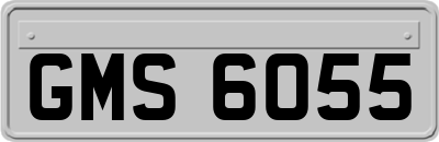 GMS6055