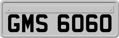 GMS6060