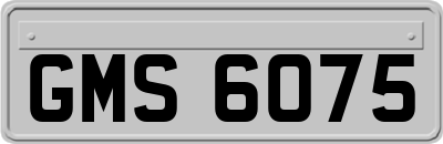 GMS6075