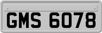 GMS6078