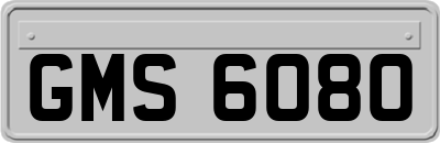 GMS6080