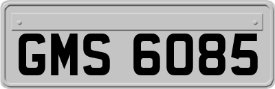 GMS6085