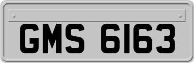 GMS6163