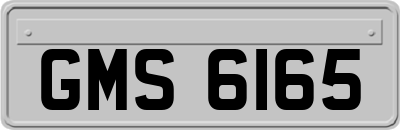 GMS6165