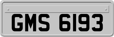 GMS6193