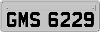 GMS6229