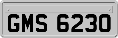 GMS6230