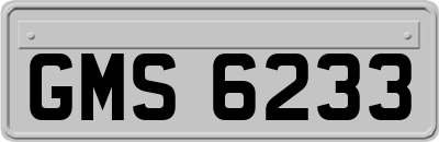 GMS6233