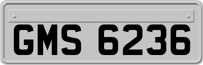 GMS6236