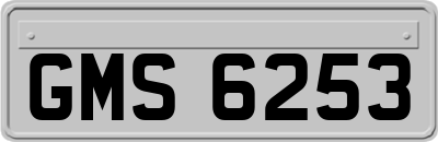 GMS6253