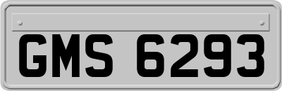 GMS6293