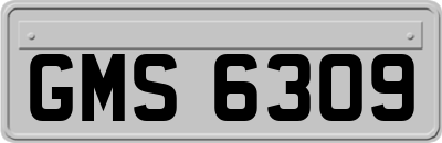 GMS6309