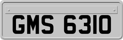 GMS6310