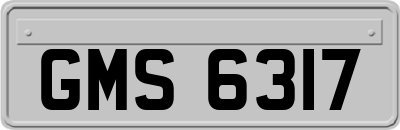 GMS6317