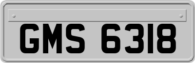 GMS6318