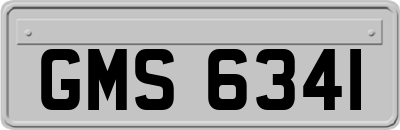 GMS6341