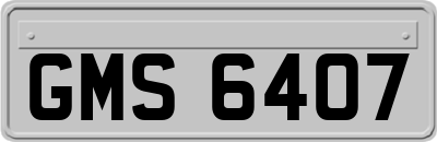 GMS6407
