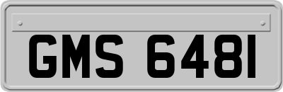 GMS6481