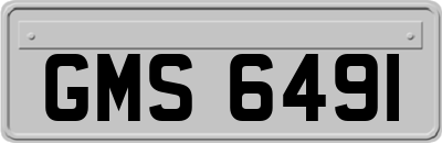 GMS6491