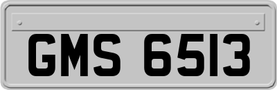 GMS6513