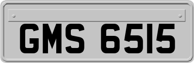 GMS6515