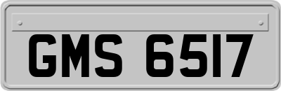 GMS6517