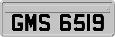 GMS6519