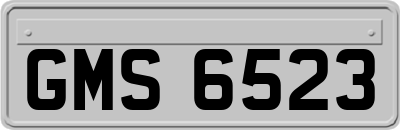 GMS6523