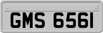 GMS6561