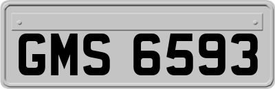 GMS6593