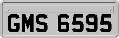 GMS6595